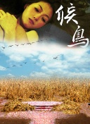 深入了解功夫英雄：游戏世界与文化背景